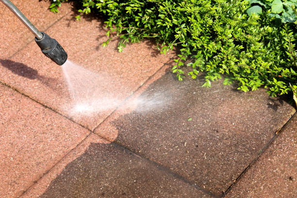 Best Local Pressure Washing Services  in Naranja, FL