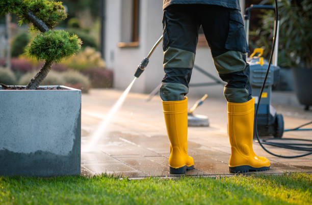 Best Pressure Washing Near Me  in Naranja, FL